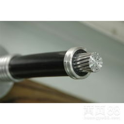 西安絕緣導(dǎo)線 技術(shù)賦能，守護(hù)古城電力安全
